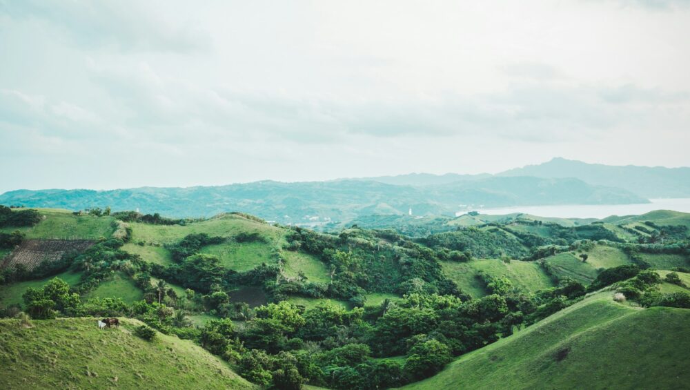 Ecosystem photo