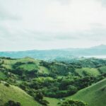 Ecosystem photo