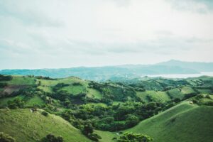 Ecosystem photo