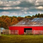 Kentucky farm